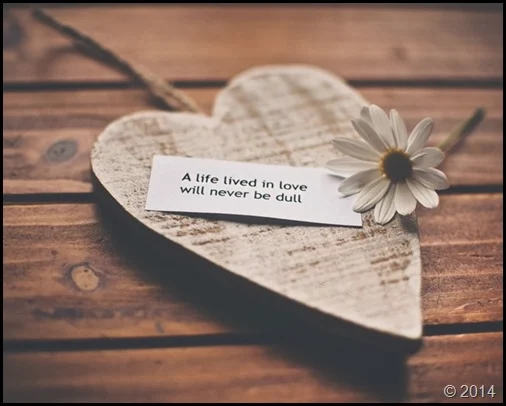 A life lived in love will never be dull