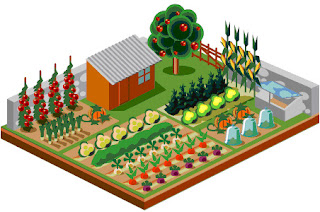 Vegetable Garden