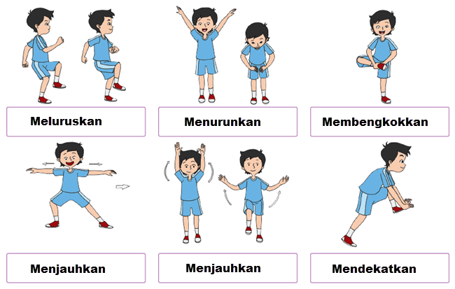 Macam Macam Gerak  Otot Pada Manusia BISNISHANA COM