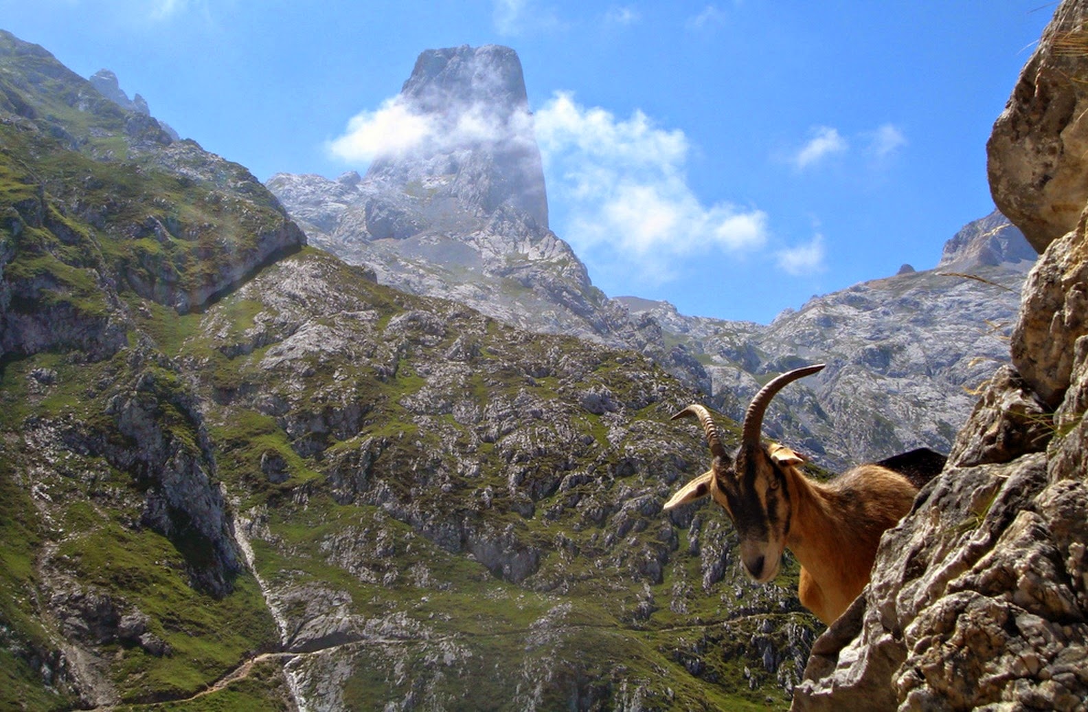 #12. Picos Mountains, Northern Spain - In These Award Winning Photographs You FEEL The Power Of The Mountains.