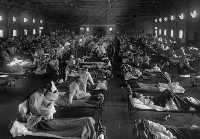 spanish flu in india