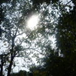 View album