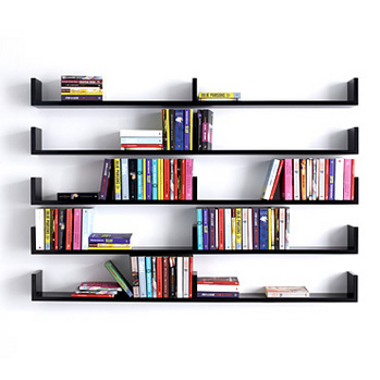 wall Mounted bookshelf