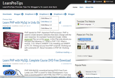 LearnProTips Template For Blogger