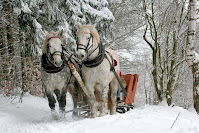 ransporte a caballo