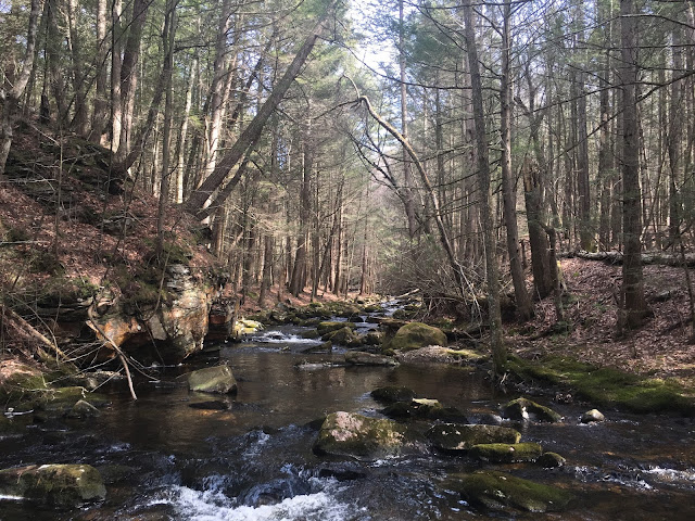 Hemlock lined brook trout stream in Western MA