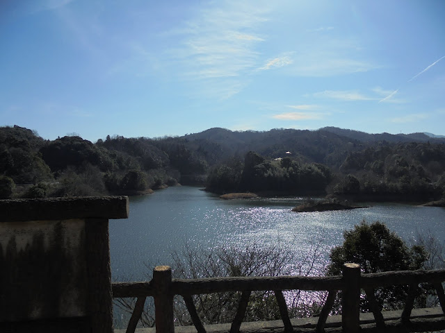 緑水湖の風景