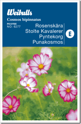 RosenskäravitrosaA