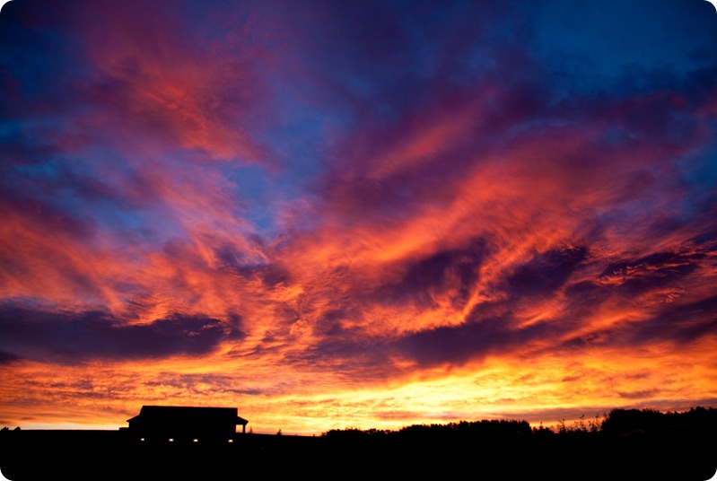 Farm Skies-1