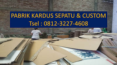 Distributor Kemasan Sepatu