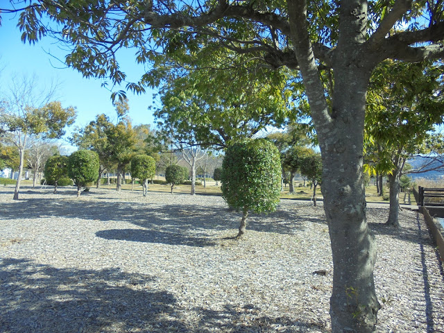 東郷湖羽合臨海公園浅津公園