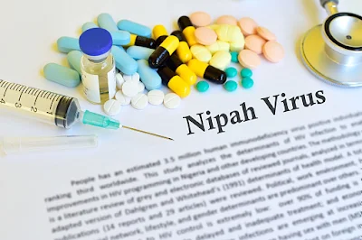 Vírus Nipah