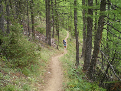 forêt en montant aux Houerts