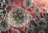 GENOME ORGANIZATION OF SARS-CoV-2 (Covid-19)