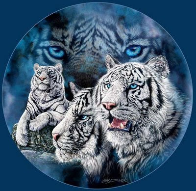 Hidden White Tiger Brother And Sister Optical Illusion