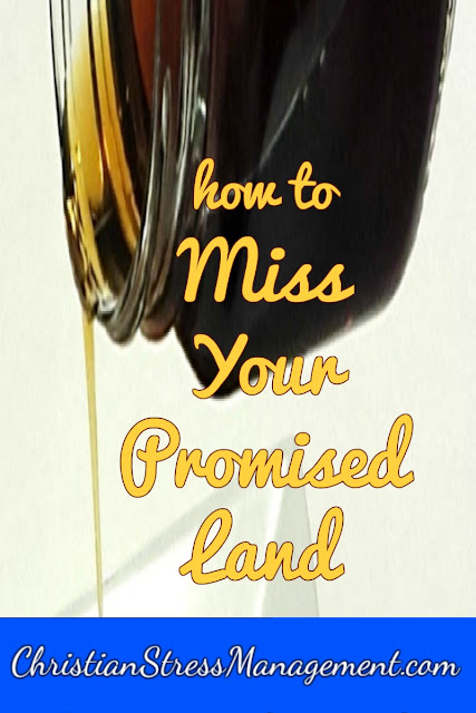 How to Miss Your Promised Land