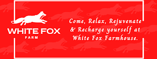 White Fox Farm