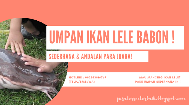 https://pusatessenterbaik.blogspot.com/2019/11/resep-umpan-sederhana-ikan-lele-babon-andalan-para-juara.html