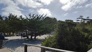 Dunes of Carmel CA