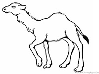 Realistic Camel Coloring Pages Printable