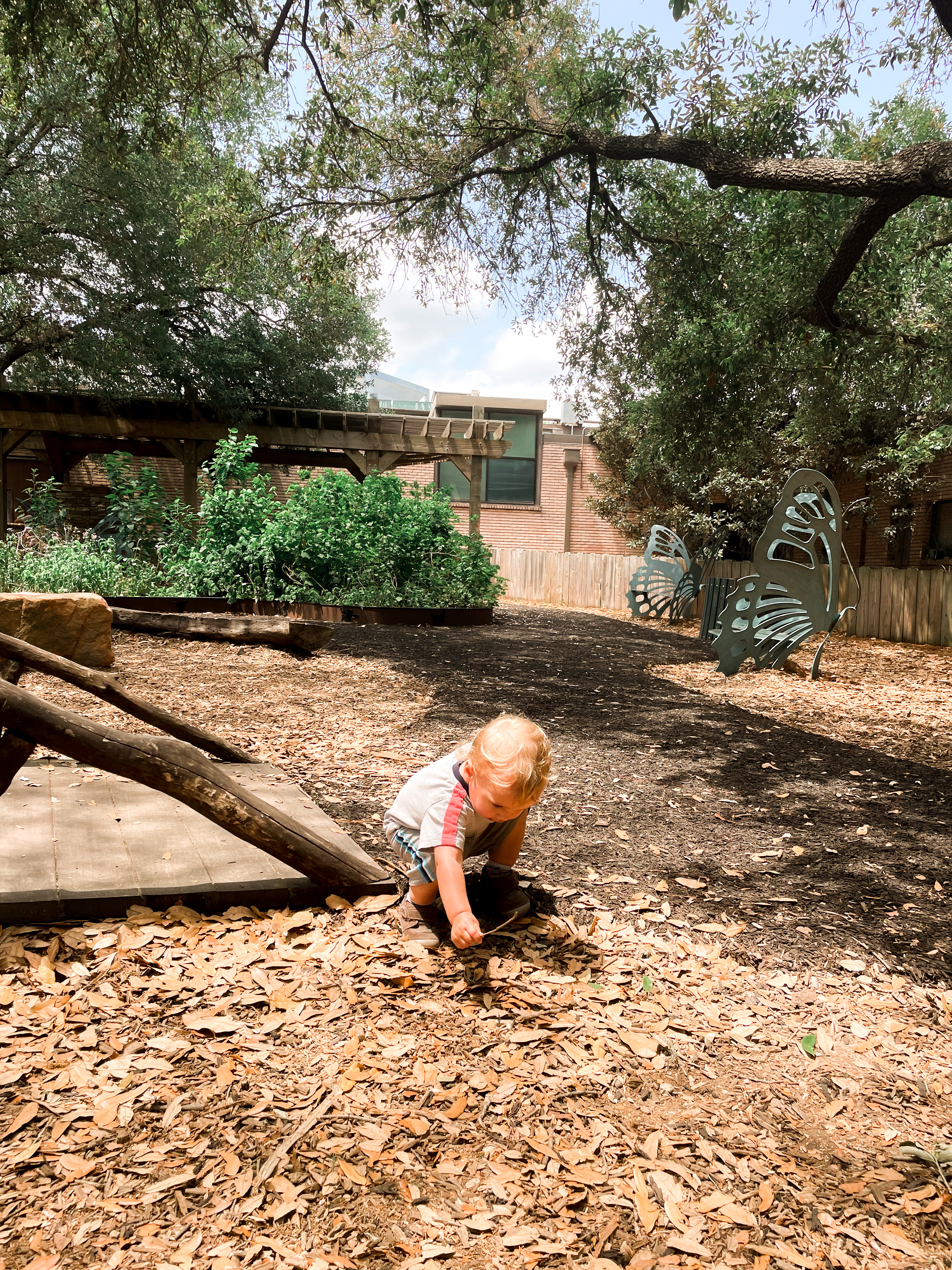 Explore the Wild at The Houston Zoo