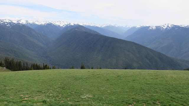 Olympic national park, national park, park, Olympic, waterfalls, hiking, forest, mountains