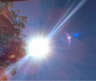 a photo of the sun, a halo of sunbeams in rainbow colours; and tiny spheres of pink and purple that appear to dance around it. Yarra Valley trees frame the left hand side of the picture. The sun is a symbol of conscious awareness and mindfulness.