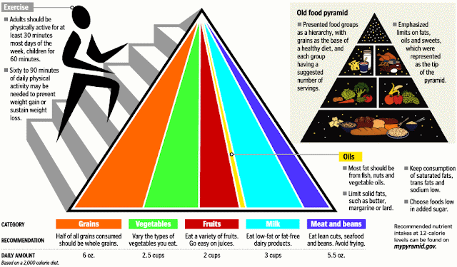 food chain pyramid of numbers. Pyramid+of+numbers+biology