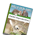 Rabbit farming PDF