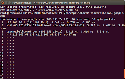 Cara menge-PING dan memasukan perintah Traceroute suatu website di 