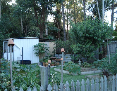 The organic backyard