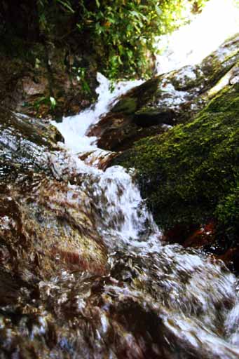 Kodaikanal Waterfalls: Bear Shola Falls