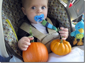 jace and his pumpkins