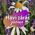 Havi zárás - Június