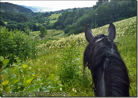 2011-ardvinna-10juli_02