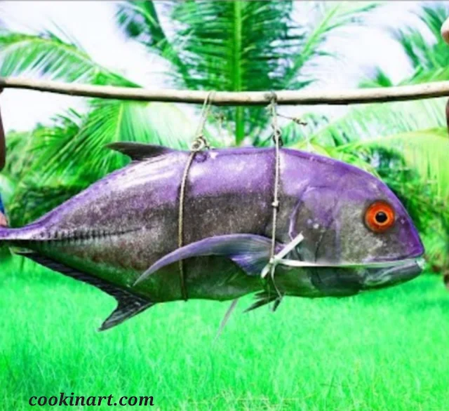 Big headed trevally, recipe for a majestic ocean wanderer