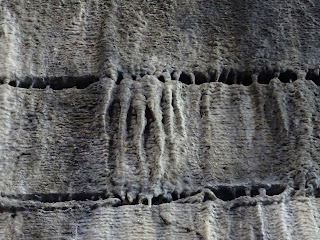 A photo of a cluster of grey coloured stalactite type formations on the walls of the tunnel.  Photograph by Kevin Nosferatu for the Skulferatu Project.