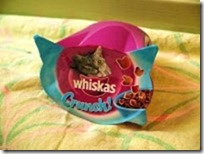 Crunch