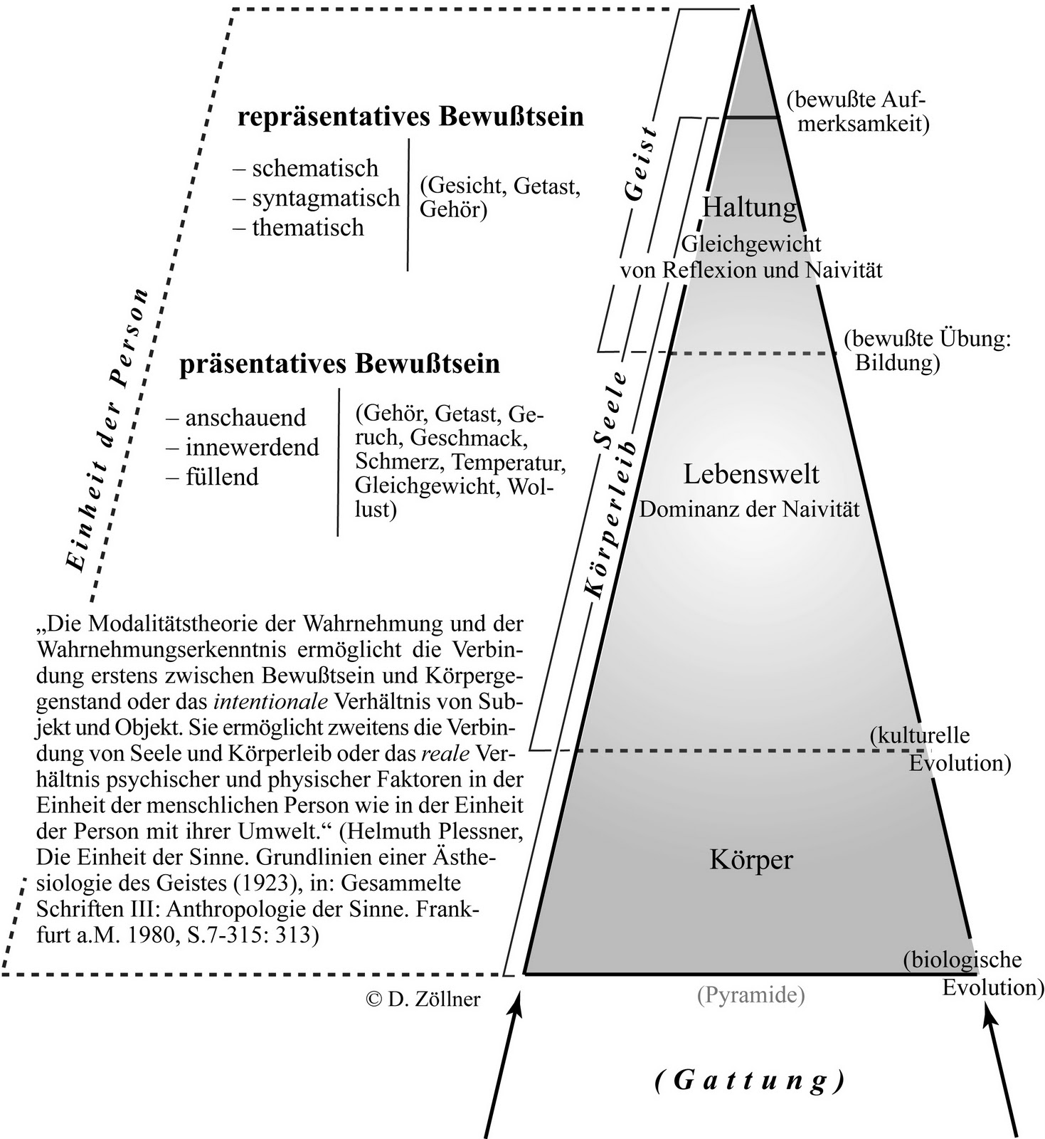 einstein zitat ergebnis