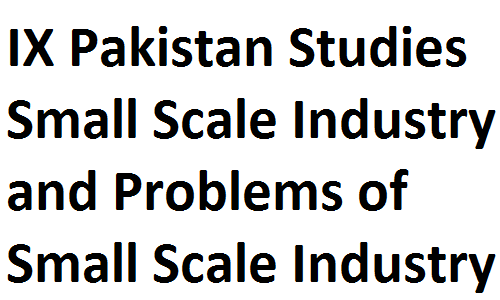 Matric Notes Class IX Pakistan Studies Small Scale Industry and Problems of Small Scale Industry matric notes