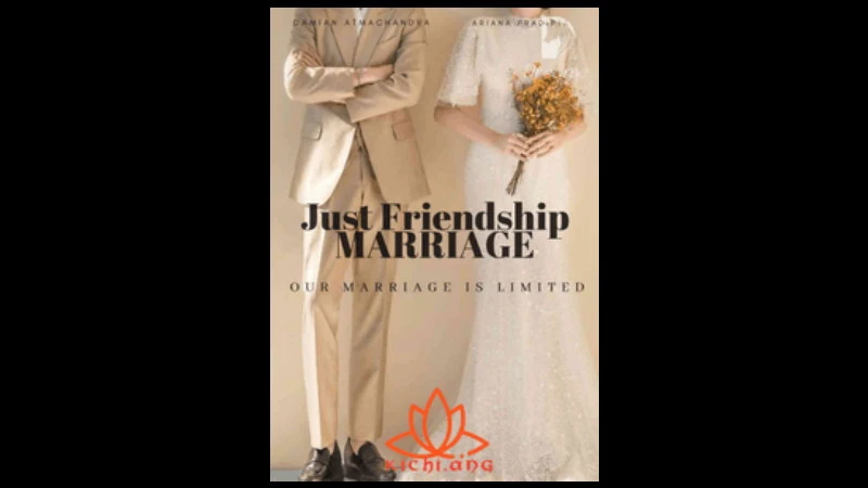 Novel Just Friendship Marriage Full Bab