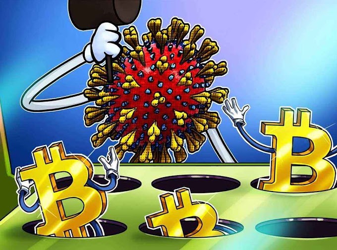 Born out of a crisis, Bitcoin is perfectly adapted to the current situation