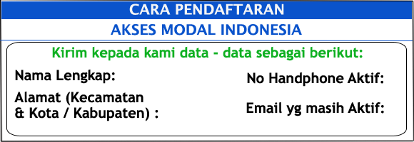 akses modal indonesia