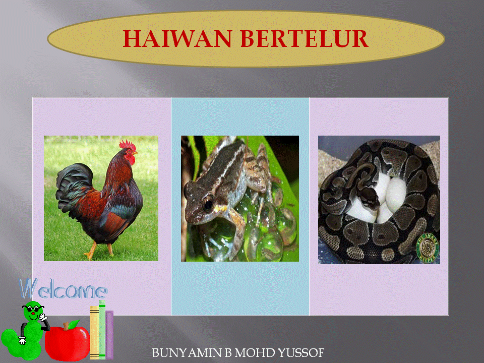 Soalan Science Darjah 2 - Kecemasan h