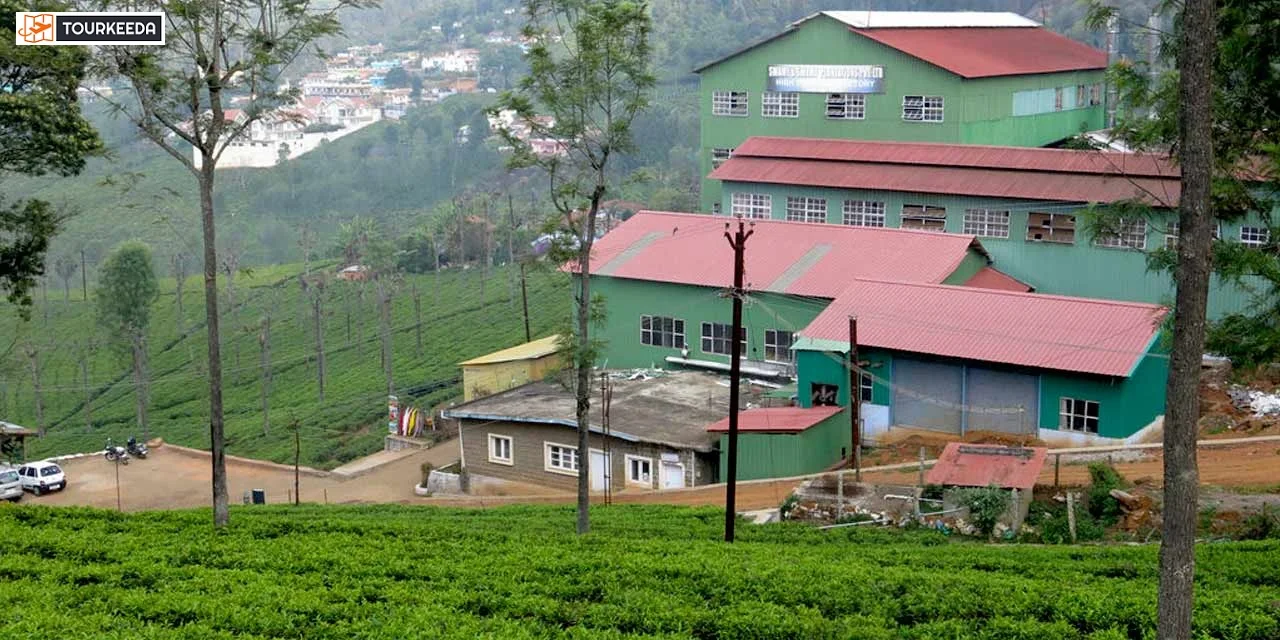 highfield tea factory One Day Coonoor tour by Cab