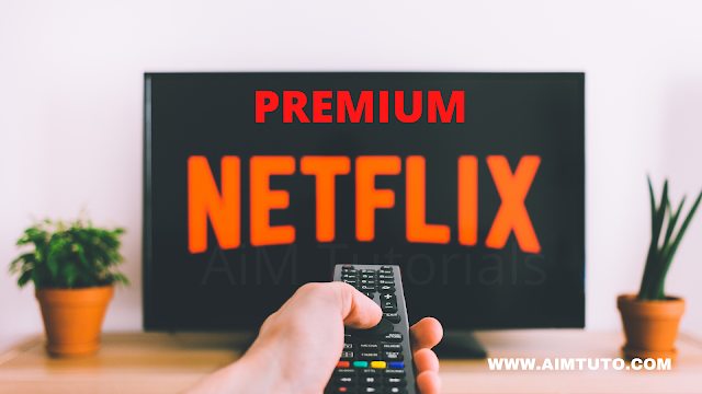 Netflix premium BIN