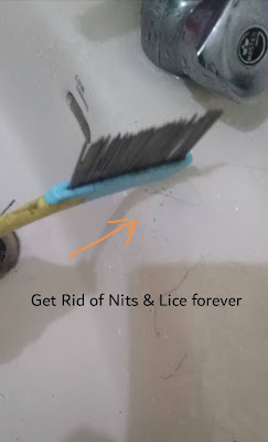 How To Get Rid of Lice & Nits-A tested solution