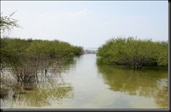 falconstatepark