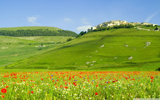 imagen de un campo reverdecido por la naturaleza