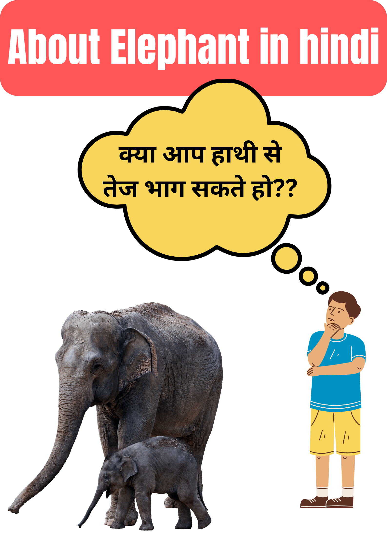 हाथी के बारे में 20 रोचक तथ्य : About Elephant in hindi